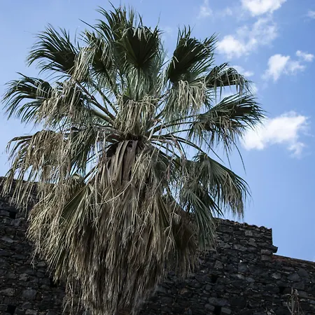 Opera Centro Storico Panzió 4*
